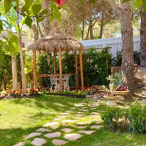 Garden Paradise Apartment